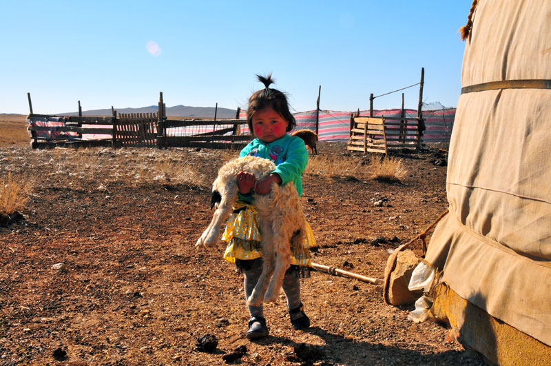 Mongolie